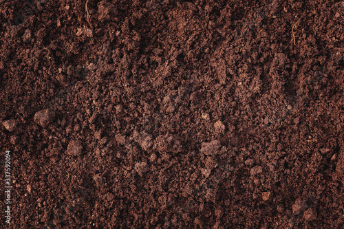 Close-up of fertile loam for the background photo