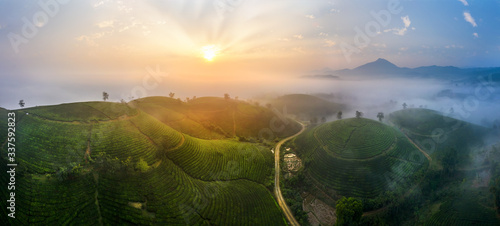 Aerial view of Long Coc tea hill, green landscape background, green leaf. Tan Son, Phu Tho, Viet Nam photo