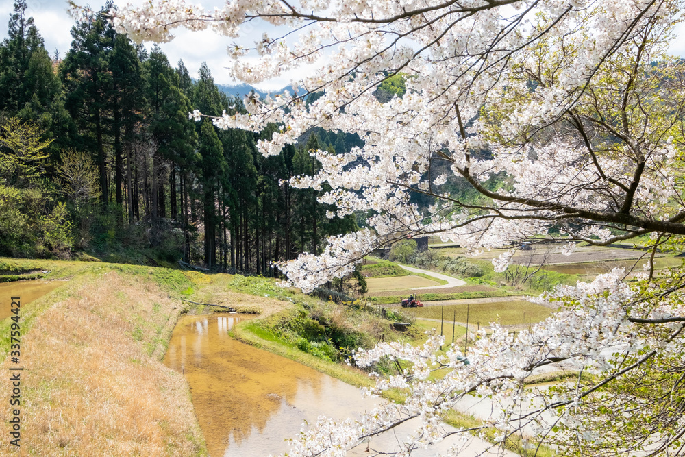 春の風景