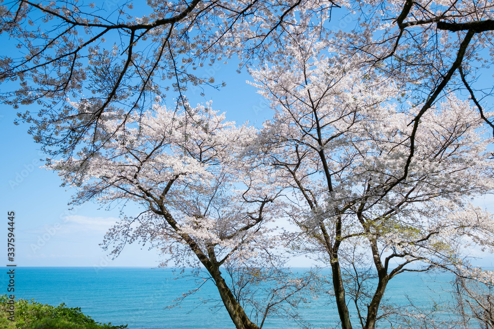 春の風景
