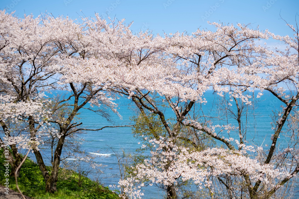 春の風景