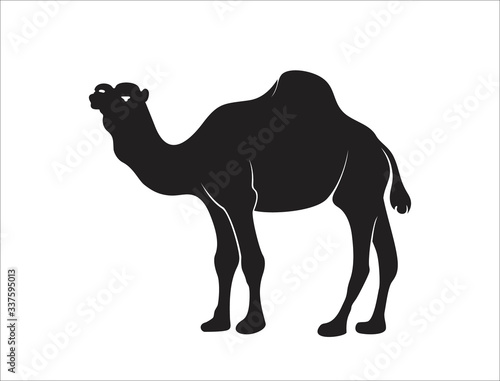 camel icon isolated sign symbol vector illustration - high quality black style vector icons