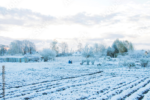 agronomic fields under the first snow at dawn