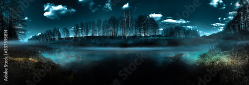 Dark gloomy forest. Night i...