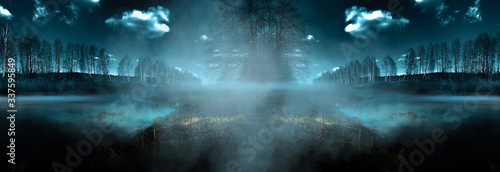 Dark gloomy forest. Night i...