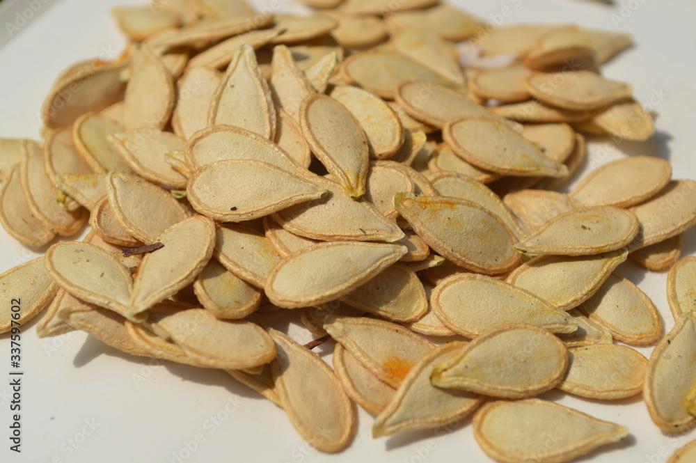 Many pumpkin seeds are gathered together on a white container. Many pumpkin seeds are gathered together on a white container.