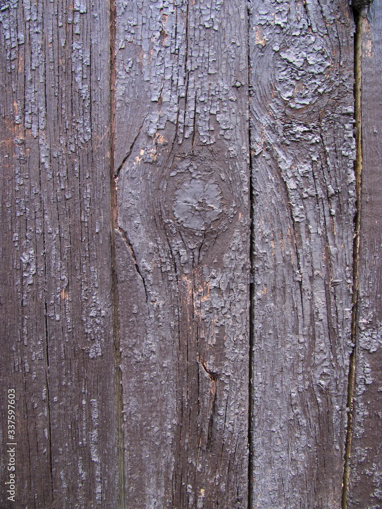 Obraz premium Old wood texture