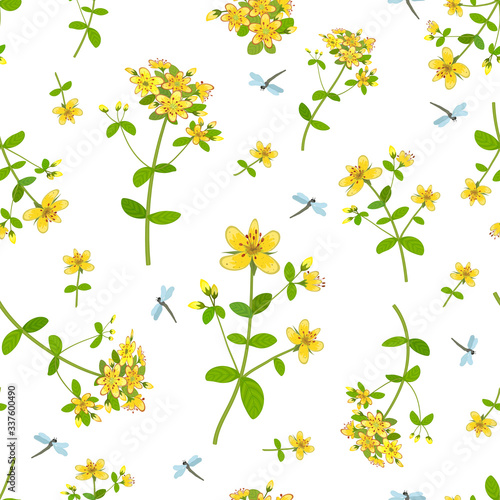 St. John's wort flowers and inflorescences on a seamless background