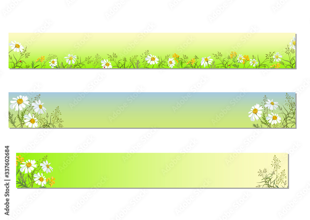 Set of horizontal banners with field herbs and daisies on a gradient background Set of horizontal banners with field herbs and daisies on a gradient background