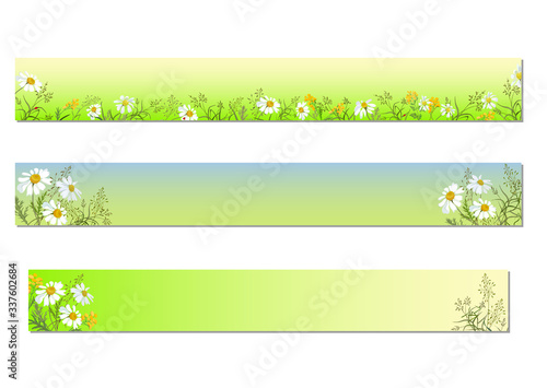 Set of horizontal banners with field herbs and daisies on a gradient background
