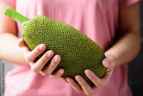 Young jackfruit holding by hand, tropical fruit