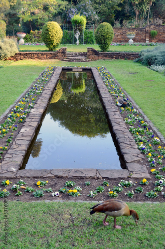 A section of the Durban Botanic Gardens in South Africa photo