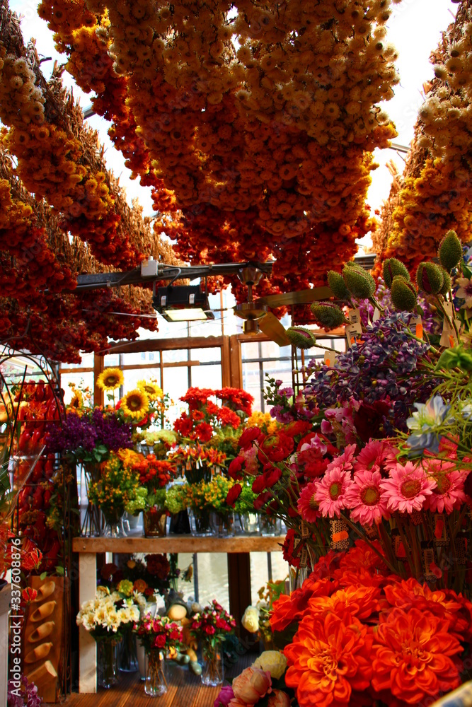Blumenmarkt in Bloemenmarkt Amsterdam 