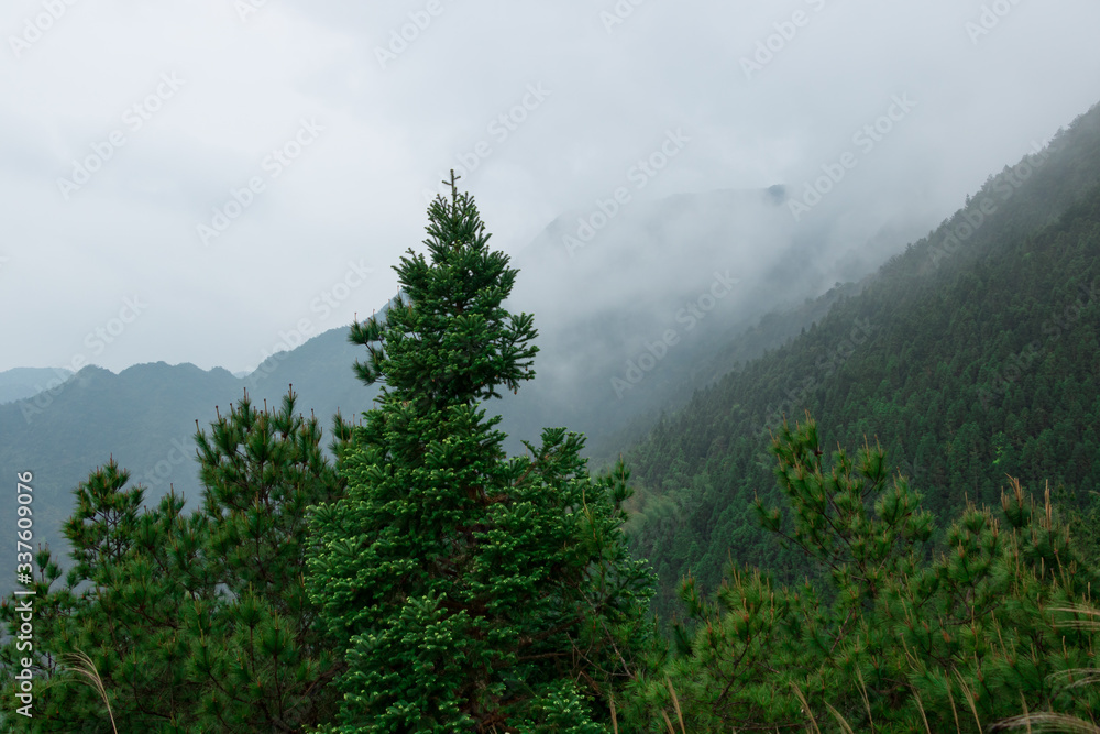 mountain mountain