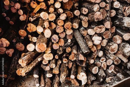 wooden sticks, firewood, wood background
