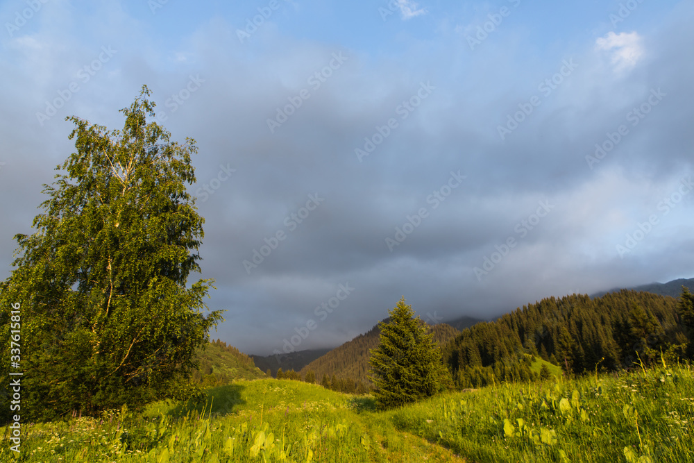 kumbel mountain valley in nature reserve before the thunderstorm with brigth grass and dark sky in background, near Almaty, Kazakhstan