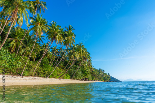 Sandy beach of a paradise deserted tropical island. Palm trees overhang on the beach. White sand. Blue water of the ocean. Rest away from people