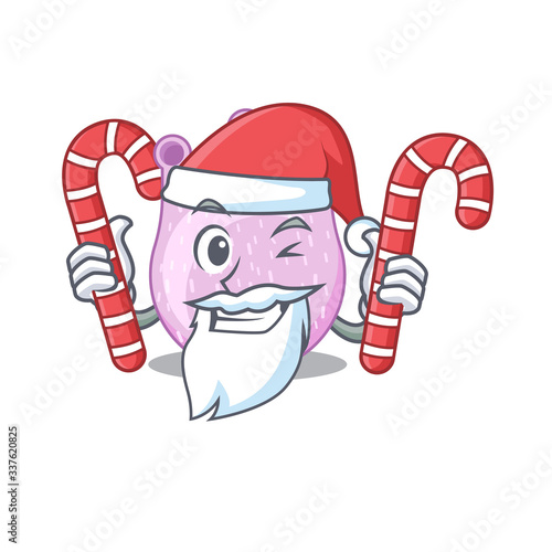 Friendly viridans streptococci in Santa Cartoon character holds Christmas candies