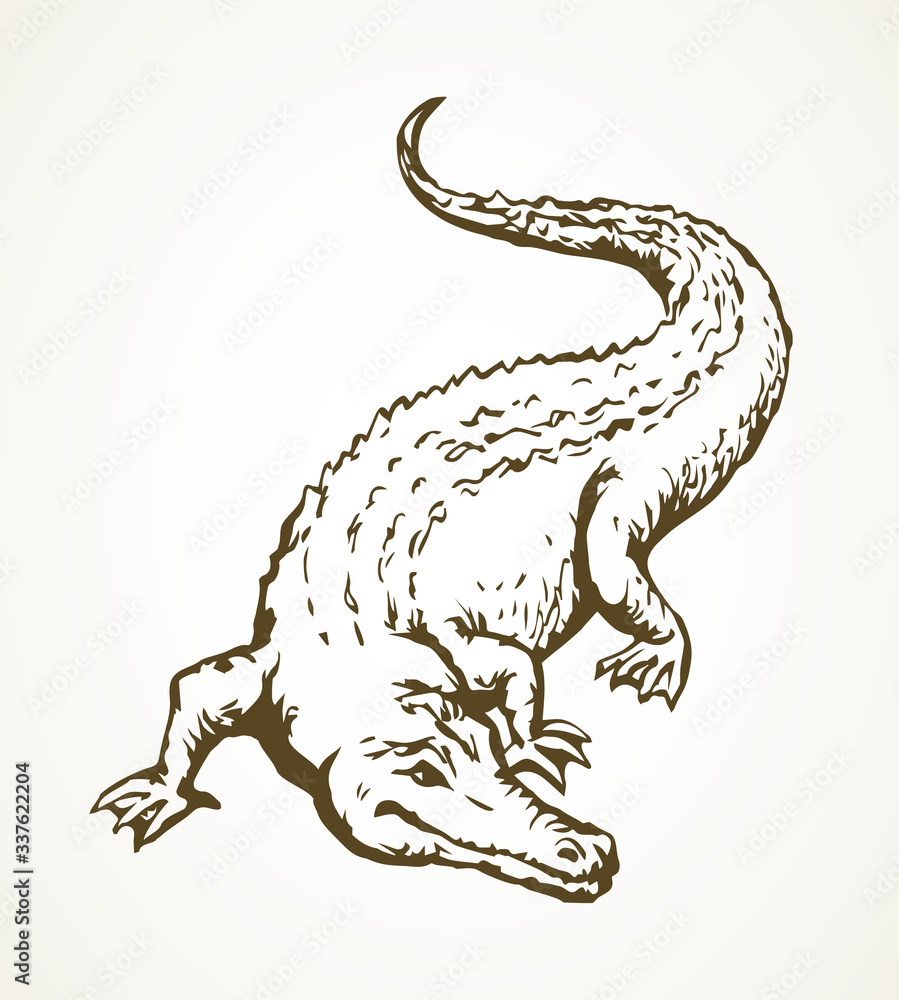 Crocodile. Vector drawing animal icon Crocodile. Vector drawing animal icon
