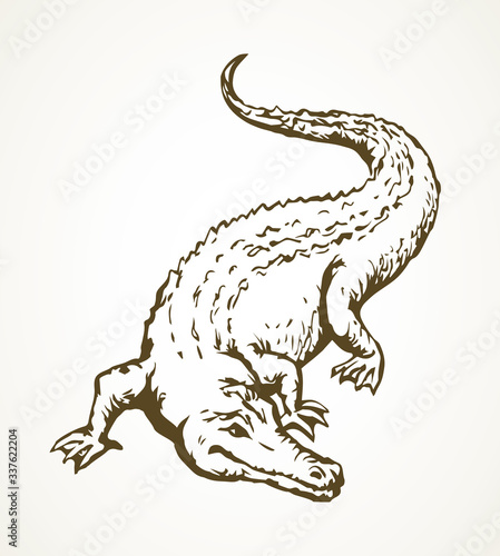 Crocodile. Vector drawing animal icon