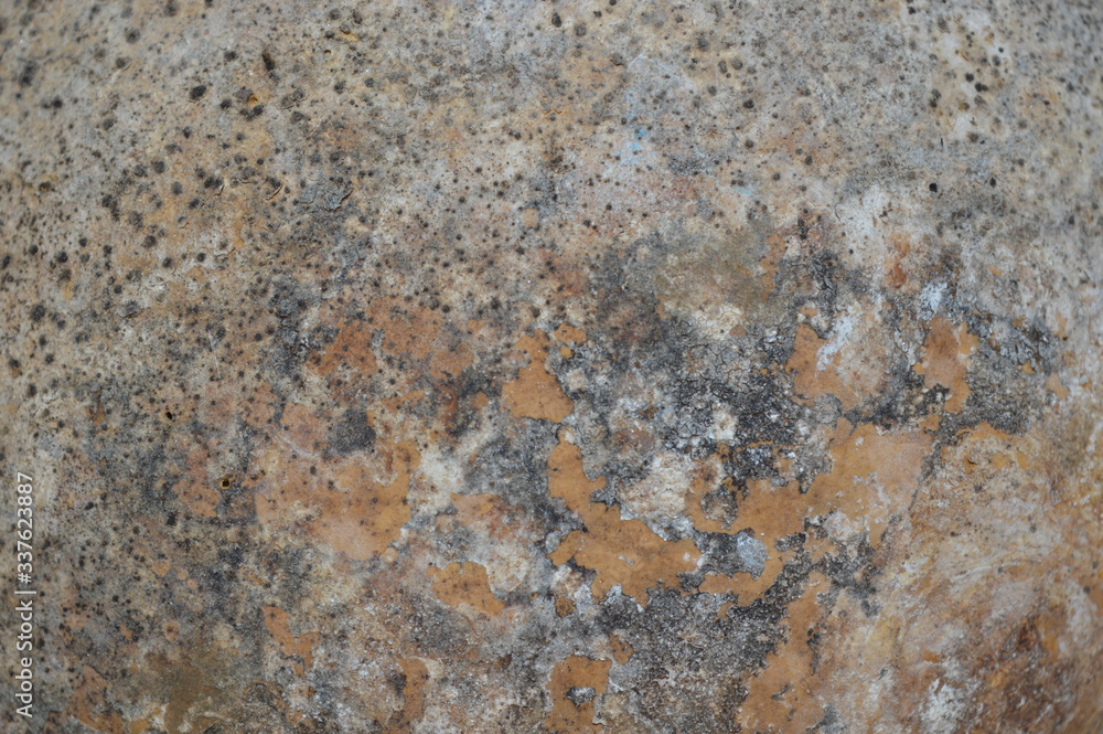 The patterned flooring of the large hard-shelled fruit is dried in the sun. The patterned flooring of the large hard-shelled fruit is dried in the sun.