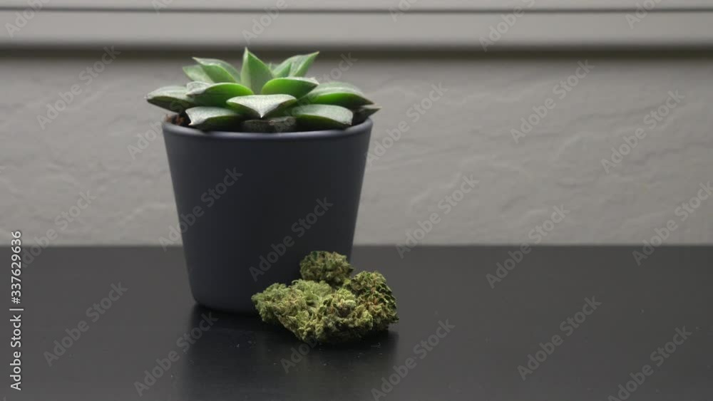 Marijuana Medical Cannabis Weed Bud Nug THC California 4K Marijuana Medical Cannabis Weed Bud Nug THC California 4K