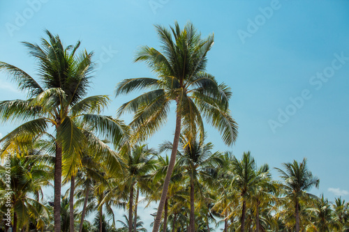 Beach area by the sea