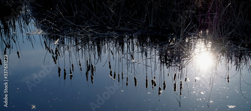 okolice rzeki Narew Kurowo