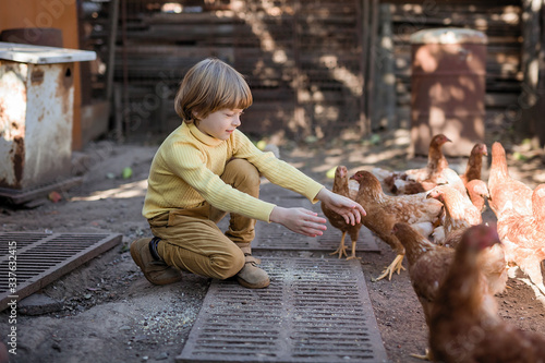 The boy feeds the chickens