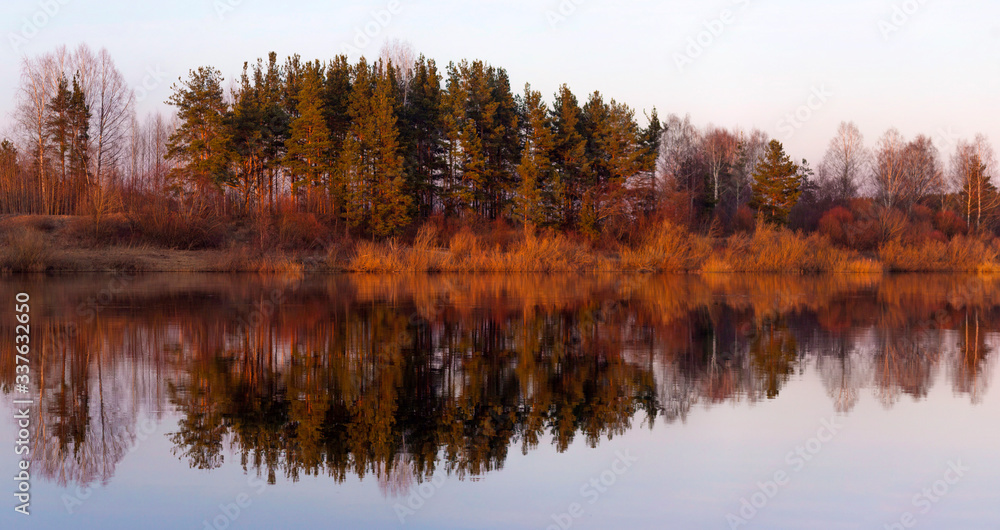 Panoramic photo of reflection in a river of trees at sunset. Trees are reflected in the river like sound waves. The music of the forest.