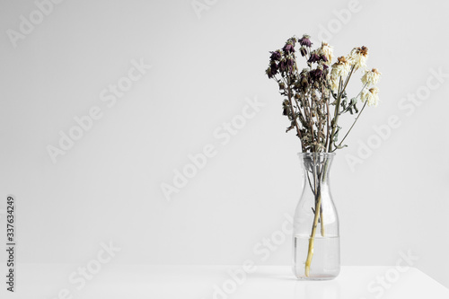 Bouquet of wilted flowers on a white background