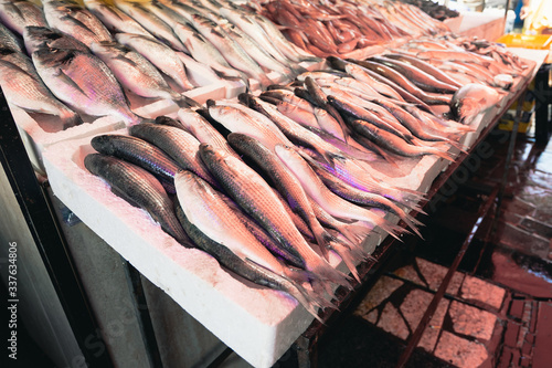 Fresh fishes in a market. Selective focus. photo