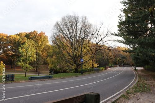 New York in her beautiful autumn suit Central Park