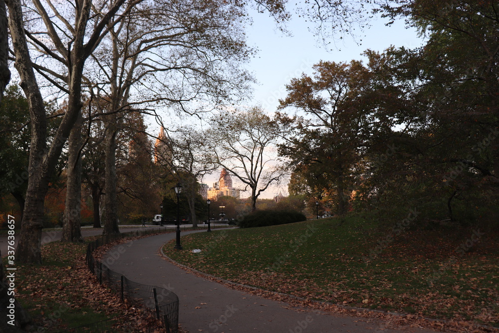 New York in her beautiful autumn suit Central Park New York in her beautiful autumn suit Central Park