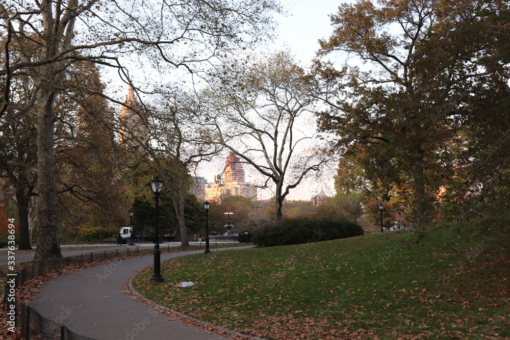 New York in her beautiful autumn suit Central Park New York in her beautiful autumn suit Central Park