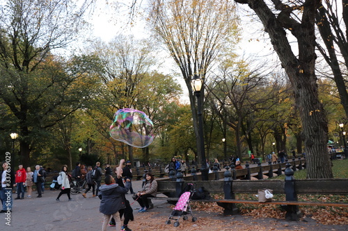 New York in her beautiful autumn suit Central Park