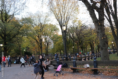 New York in her beautiful autumn suit Central Park