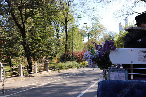 New York in her beautiful autumn suit Central Park