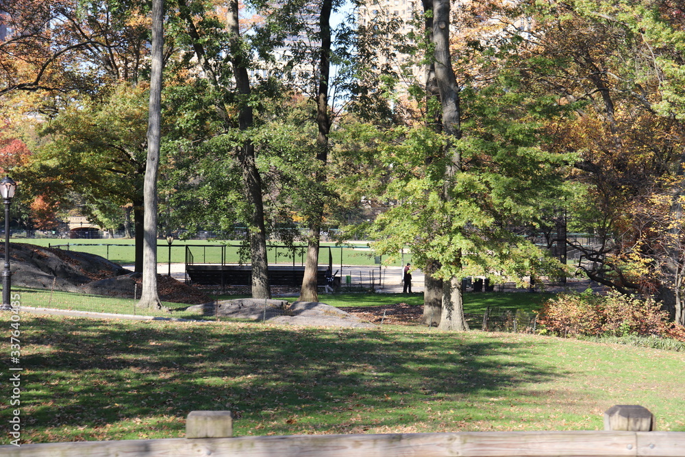 New York in her beautiful autumn suit Central Park New York in her beautiful autumn suit Central Park
