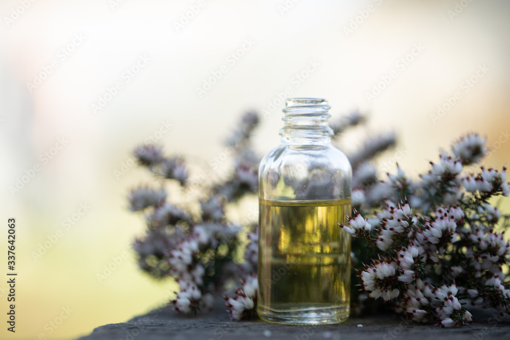 Essential oils and medical flowers herbs on bokeh background. Essential oils and medical flowers herbs on bokeh background.