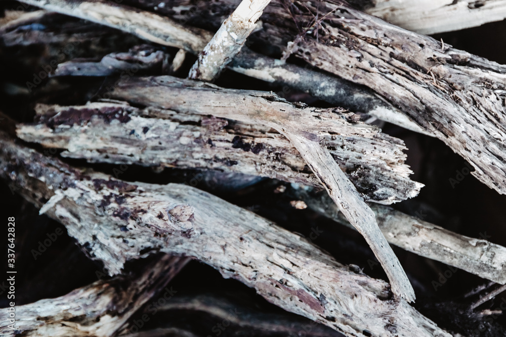 wooden sticks, firewood, wood background wooden sticks, firewood, wood background