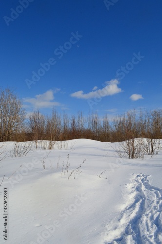 winter landscape with snow © nikpul