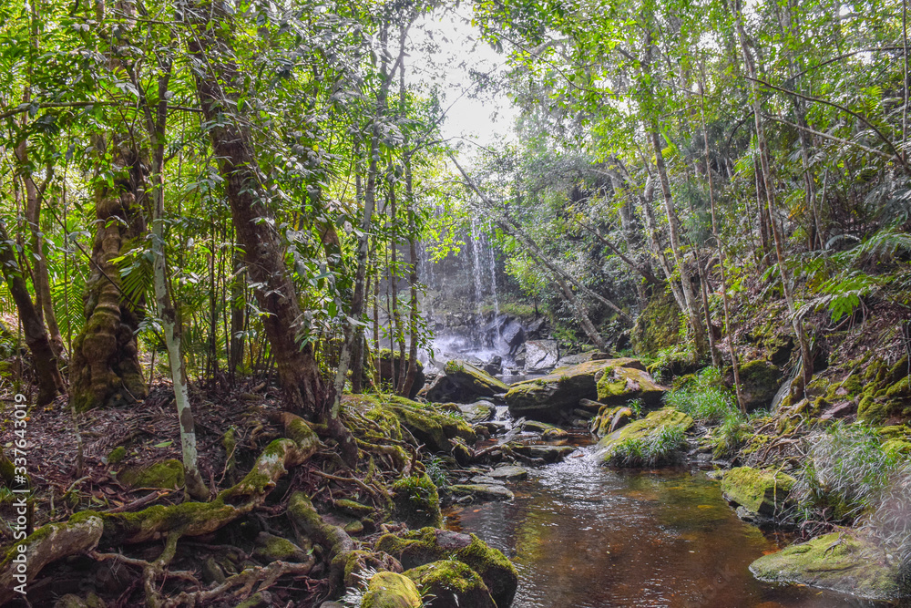 The waterfall with trees in the tropical forest on sunny day in Thailand The waterfall with trees in the tropical forest on sunny day in Thailand