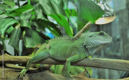 Wallpaper Mural Wygrzewanko :) Torontodigital.ca