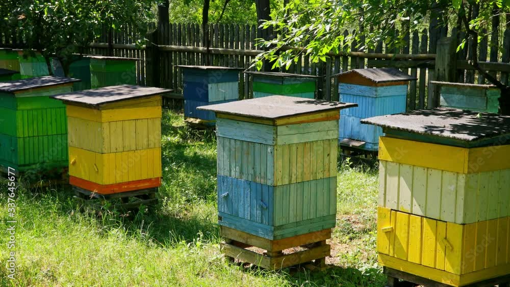 Colorful and wooden beehives in countryside in summer, Poland Colorful and wooden beehives in countryside in summer, Poland