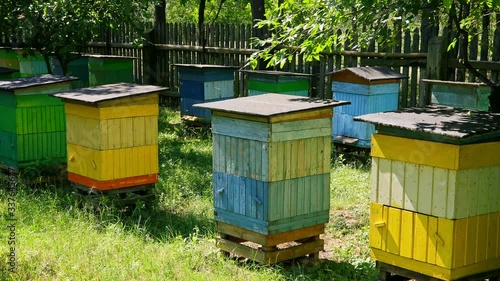 Colorful and wooden beehives in countryside in summer, Poland