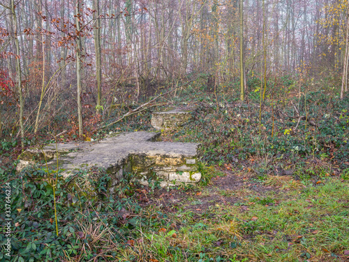 Ruins of the Wittekindsburg Castle near Rulle, Osnabrueck-Land, Lower Saxony, Germany. Fundament of a house of the castle. photo