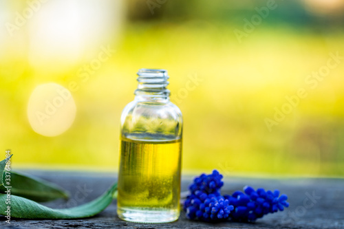 Herbal aroma oil bottle with various drugplant flowers  wooden surface  nature background in blur. Soft focus. Pure natural beauty care.