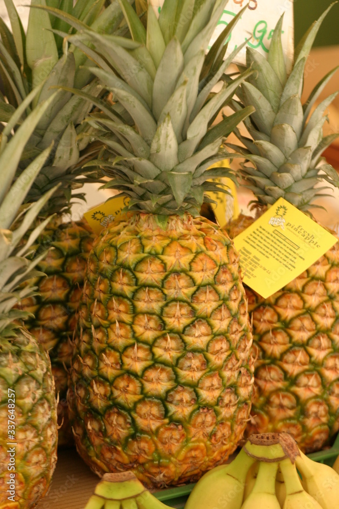 Ananas (Ananas comosus) Ananas (Ananas comosus)