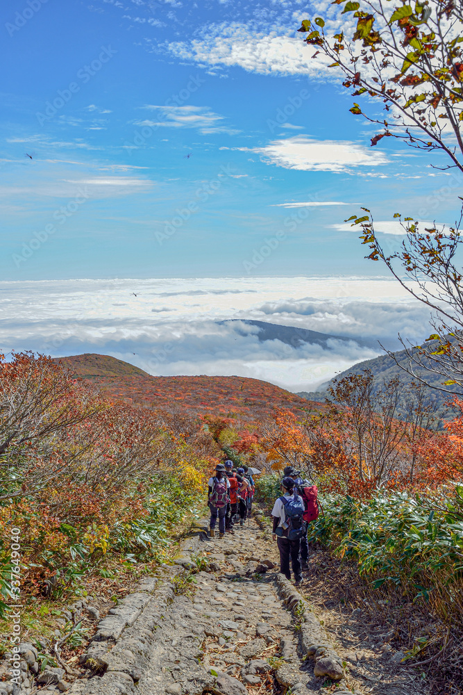 Obraz premium 栗駒山登山道からみる雲海